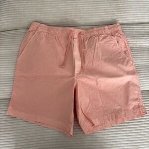 American Eagle Outfitters Men's Soft Pink Shorts
